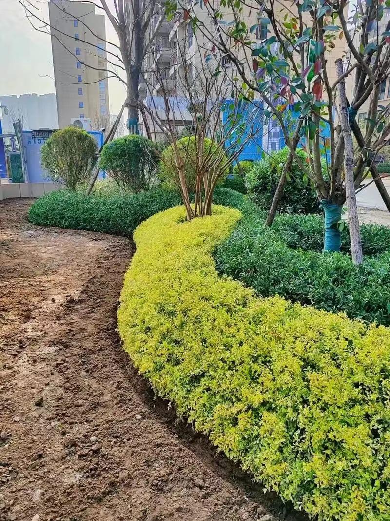 绿化工程4