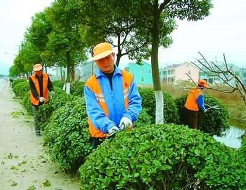 室外绿化养护1