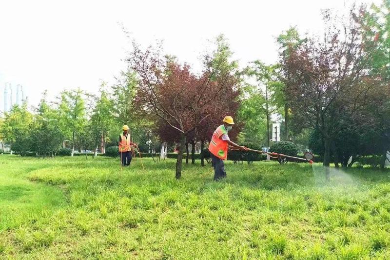 绿化养护5